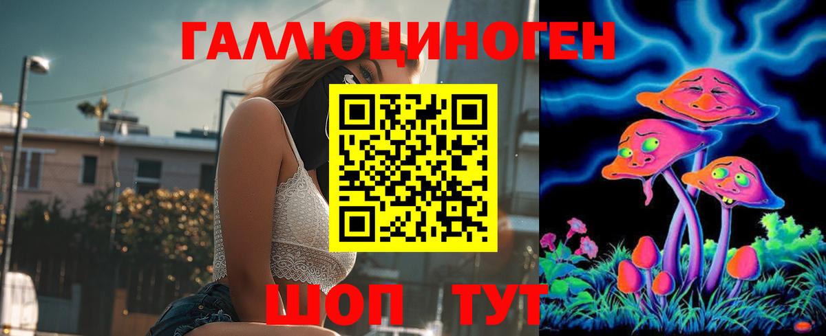 Галлюциногенные грибы Psilocybine cubensis Полысаево